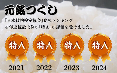 米 【特A】「元気つくし」 5kg×2袋 [10kg] [白米] [ABDF030] 米 白米 精米 ご飯 ごはん こめ コメ 