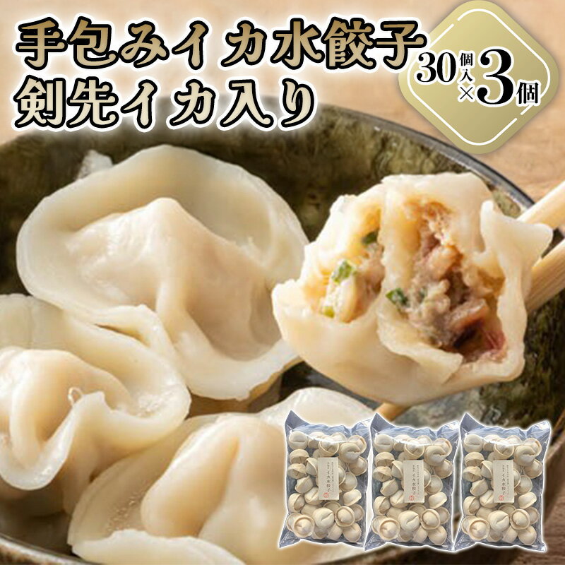【ふるさと納税】「人気・手包みイカ水餃子」【30個入】×3パック【パーティー規格】剣先イカ専門店オリジナル