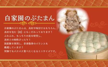 【全12回定期便】長崎ぶたまん 40個 ／ 中華 点心 惣菜 豚肉 豚まん 長崎県 長崎市