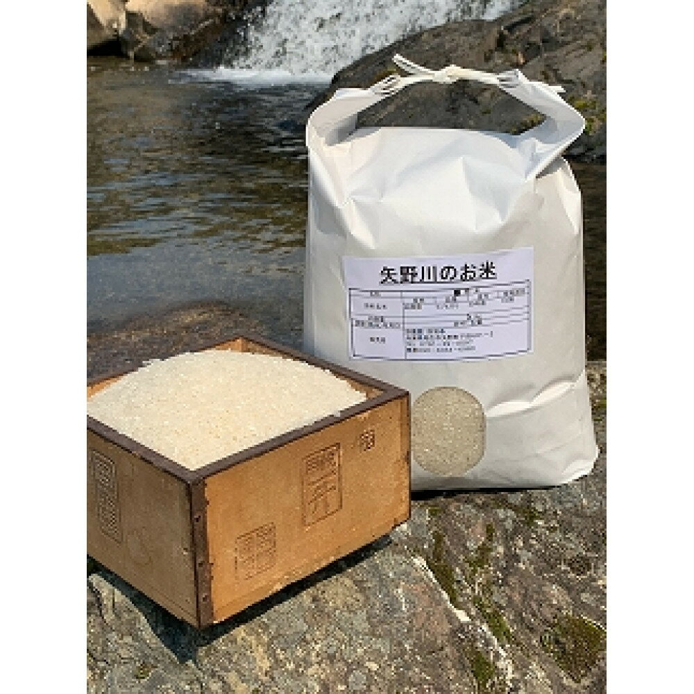 【ふるさと納税】【定期便・全5回】矢野川のお米　ヒノヒカリ玄米10kg x 5回