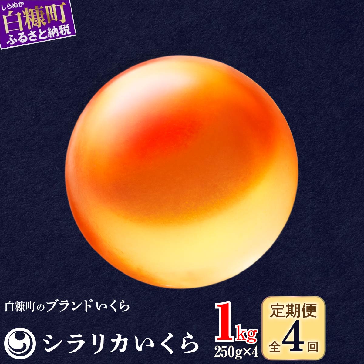 【ふるさと納税】 年4回お届け定期便 シラリカいくら【1kg(250g×4)】 ふるさと納税 いくら お好みに味付けができます 味付けなし 北海道海鮮紀行 生いくら 北海道産 国産 イクラ 鮭いくら 鮭イクラ 鮭 秋鮭 完熟卵 魚卵 魚 魚介 小分け 海鮮 人気 いくらの町 北海道 白糠町