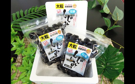 東郷湖冷凍しじみ（大粒） 1kg_T2600033 ふるさと納税 鳥取 特産品 お取り寄せ おすすめ ギフト 名産　シジミ 貝 魚介