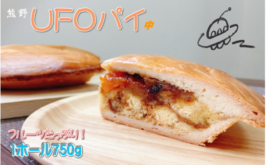 フルーツたっぷり 南海堂のUFOパイ 中 / パイ ケーキ カステラ【nkd002B】