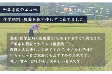 令和5年産 千葉県産エコ米「コシヒカリ」玄米10kg（10kg×1袋） A014