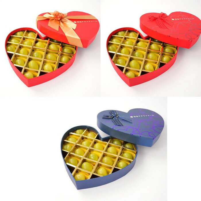 【ふるさと納税】ぶどう 2026年 宝石箱18粒 大粒厳選秀品 ギフト 贈答用 贈り物 農林大臣賞2回受賞 採りたて発送 農家直送 数量限定 新鮮 岡山 果物 フルーツ 化粧箱 贈答用 | フルーツ 果物 くだもの 食品 人気 おすすめ 送料無料