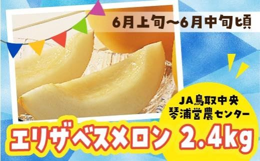 
                  【先行予約】数量限定 鳥取県産 エリザベスメロン 4玉（2.4kg） 国産 果物 くだもの フルーツ デザート 旬 夏 メロン 国産メロン メロン4玉 エリザベスメロン エリザベスメロン4玉 人気 おすすめ 鳥取県 琴浦町 送料無料
                