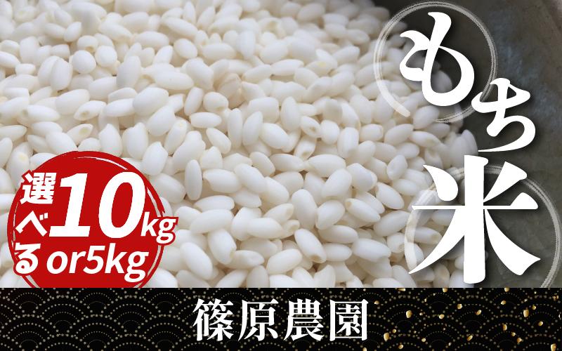 
            米 もち米 令和7年産 新米 5kg 10kg もちみのり 米 こめ お米 ご飯 ごはん もち 餅 もちごめ 白米 精米 備蓄 保存 防災 ギフト 贈答 プレゼント グルメ 送料無料 徳島県 三好市 みよし 篠原農園
          