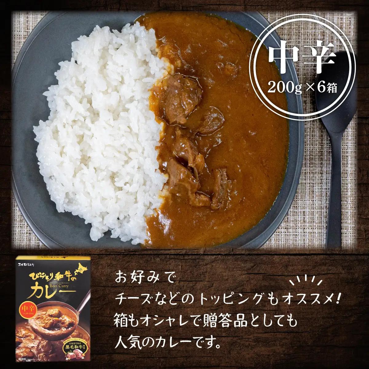 びらとり和牛カレー中辛200g×６箱 BRTH019