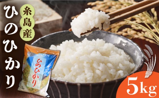 【令和7年産】糸島産 ひのひかり 5kg 糸島市 / 三島商店 [AIM003] 米 白米
