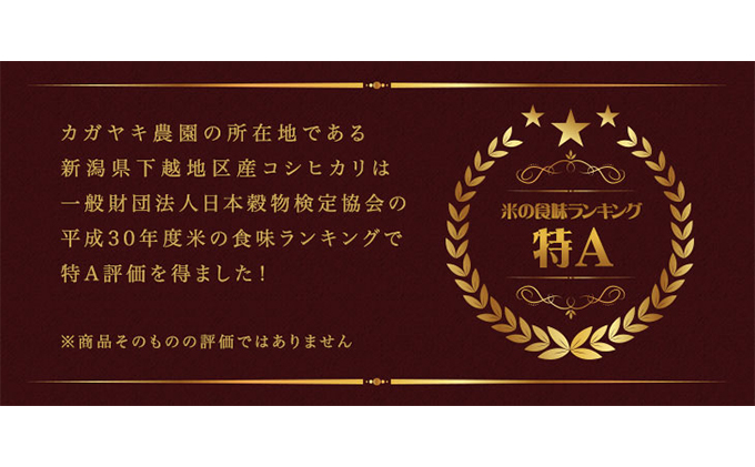 カガヤキ農園 特別栽培米コシヒカリ10kg 米 精米 白米 コシヒカリ こめ コメ お米 おこめ こしひかり 新潟 新潟県特別栽培農産物認証取得 特別栽培米 新潟県 