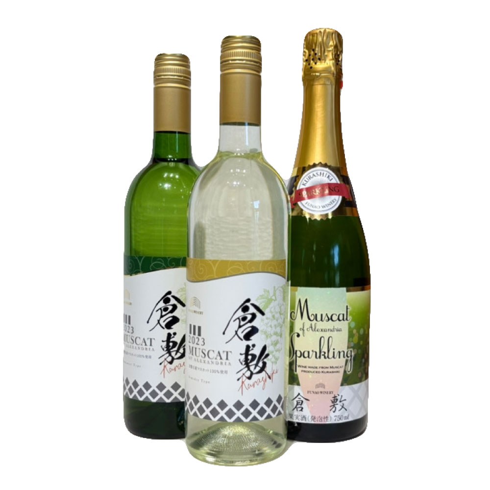 【ふるさと納税】ふなおワイナリー マスカット・オブ・アレキサンドリア、スパークリングワイン 750ml×3本　白ワイン・お酒・シャンパン・スパークリングワイン・ワインセット