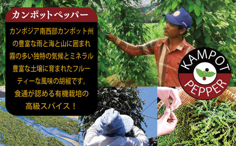 生胡椒 塩漬け 50g×1P【コショウ こしょう カンポットペッパー スパイス カンボジア】 005A744