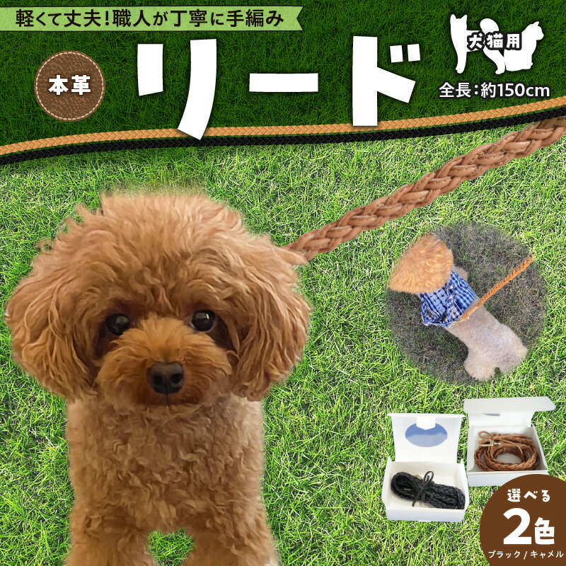 【ふるさと納税】職人 手作り 本革 犬猫用 リード 編み込み レザー 紐 日本製 ペット 犬 猫 ロングリード おしゃれ 人気 プレゼント 可愛い 軽量 丈夫 細型 補強芯 お散歩 愛知県 碧南市 送料無料