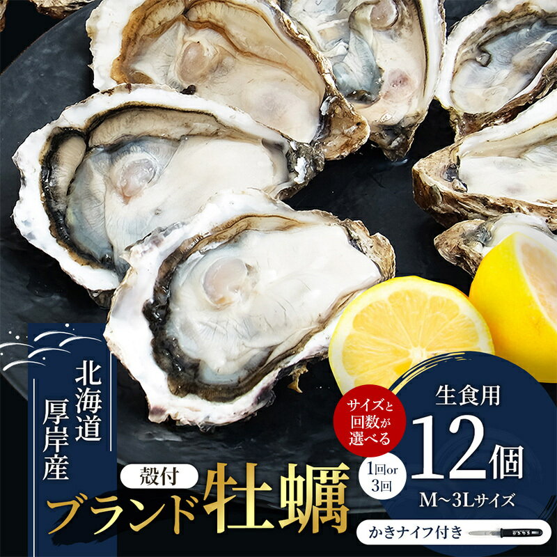 【ふるさと納税】選べるサイズ 回数　Mサイズ～3Lサイズ 家族にちょうどいい容量 北海道厚岸産 牡蠣 マルえもん 12個　レビューキャンペーン [ 魚貝類 海の幸 海のミルク 海鮮 国産 北海道産 オイスター つまみ お酒 あて 肴 生牡蠣 ]