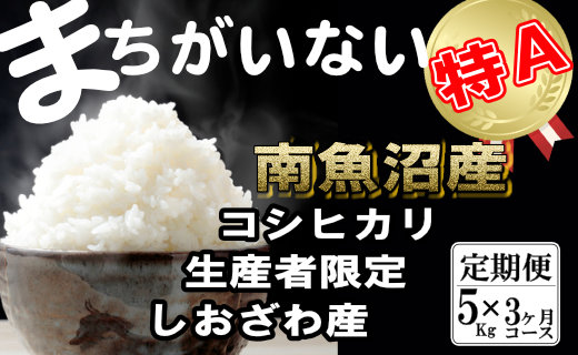 【令和7年産】【定期便】生産者限定 契約栽培  南魚沼しおざわ産コシヒカリ（5Kg×3ヶ月）【定期便 銘柄米 ブランド米 精米 こしひかり コシヒカリ 魚沼産 新潟米 産地直送 お米 米 こめ コメ ご飯 御飯 ごはん】
