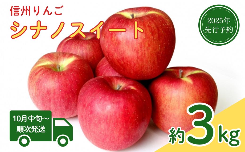 
            【2025年先行予約】りんご シナノスイート(長野県オリジナル品種) 約3kg 林檎 フルーツ 果物 長野県 千曲市 信州
          