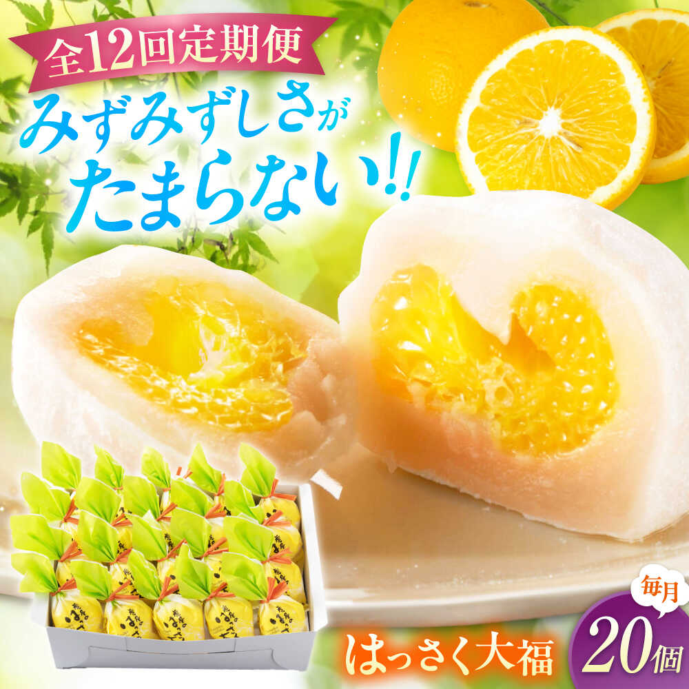 【ふるさと納税】【12回定期便】お菓子 はっさく大福 20個入　 お菓子 大福 八朔 柑橘 みかん オレンジ はっさく 餅 ギフト お取り寄せ スイーツ フルーツ大福 ご当地 菓子 おかし デザート 食品 人気 おすすめ 広島県福山市/株式会社虎屋本舗[BADH032]