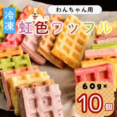 ふるさと納税 飯山市 【冷凍】 わんちゃんが食べられる「虹色ワッフル」10個セット
