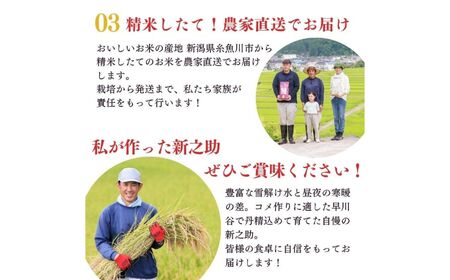 令和7年産『新之助』5kg 米・食味鑑定士お墨付き 家族みんなで愛情かけて育てた米 新潟県糸魚川産 2025年 しんのすけ 白米 百姓や伝六【米 お米 こめ 食品 人気 おすすめ ギフト 新潟県の新し