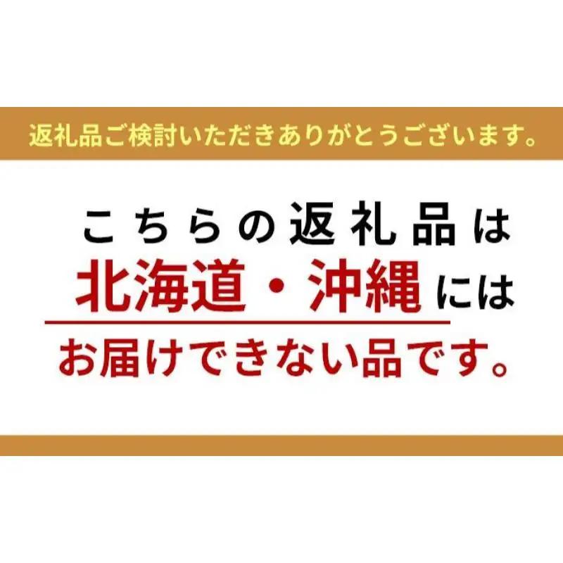 飲料 ボディメンテ ドリンク 500ml 24本 定期便 飲料