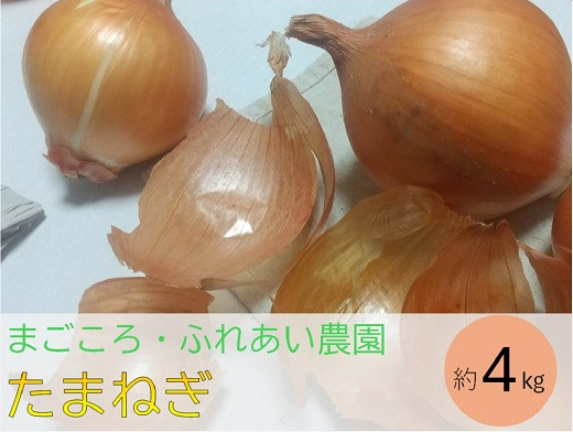 
J1112 玉ねぎ 約4kg(まごころ・ふれあい農園）
