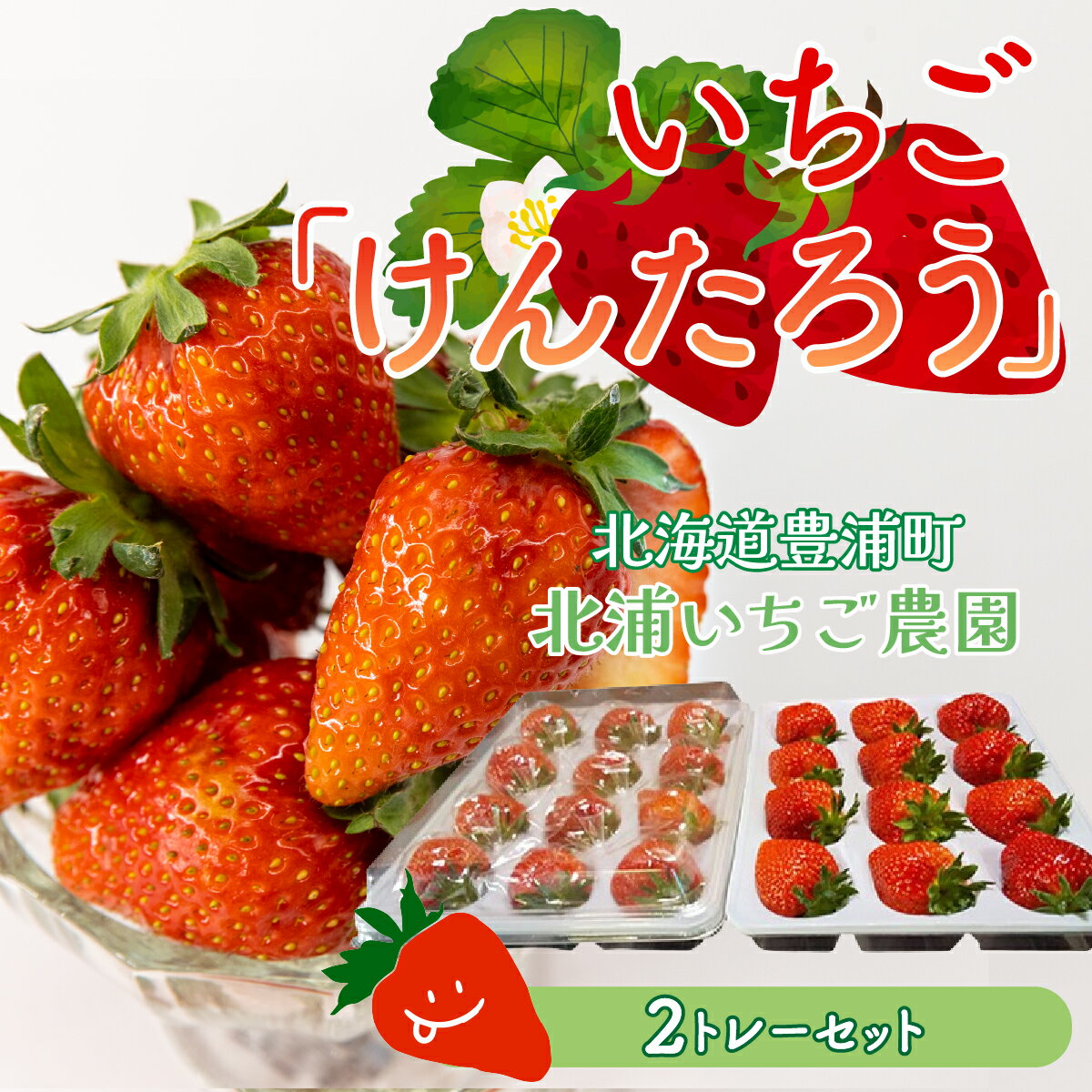 【ふるさと納税】【2025.5月以降順次出荷】いちご「けんたろう」2トレーセット 【 ふるさと納税 人気 おすすめ ランキング 果物 いちごイチゴ 苺 国産いちご 国産苺 けんたろう セット おいしい 美味しい 甘い 北海道 豊浦町 送料無料 】TYUAC001