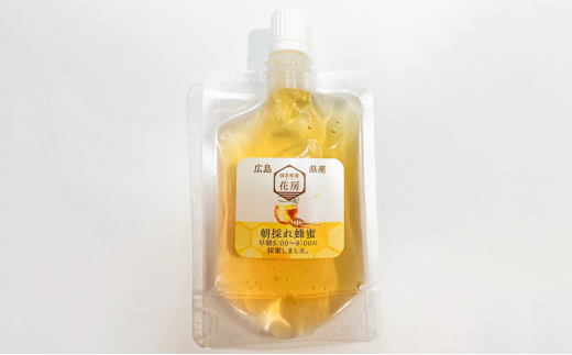 [№5895-0619]はちみつ 朝採れはちみつパウチタイプ 75g ハチミツ 蜂蜜