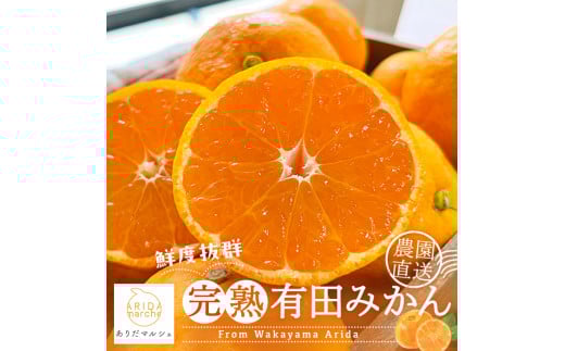 農園直送！完熟有田みかん　5kg +200g  ＜11月発送（11月上旬～11月下旬）＞※北海道・沖縄・離島配送不可【ard003C-11】