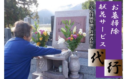 
            ＼紫波町内限定／墓掃除・献花サービス（寺院附属墓地、管理者在住） (ED001)
          