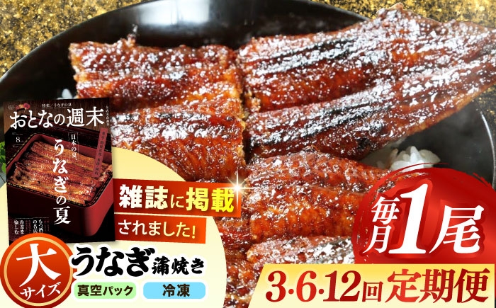 
                  【うなぎや】 【選べる定期便回数】 炭火焼 うなぎの蒲焼き 1尾 【紀州備長炭使用】 鰻 ウナギ 丑の日 多治見市/うなぎや [TFO004]
                
