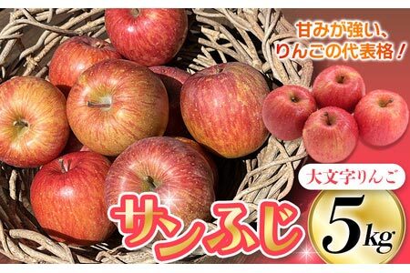 【2024年12月上旬より順次発送】大文字りんご園 サンふじ 小玉サイズ 約5kg (約20玉)/【dma513-sf-5C】