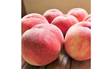 《2026年産先行受付》山形県産 白桃 秀品 5kg（12玉～20玉） 品種おまかせ 軟らかくなる桃 あかつき 川中島白桃 伊達白桃 他 もも モモ 桃 デザート フルーツ 果物 くだもの 果実 食品