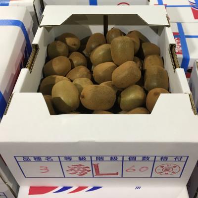 ふるさと納税 三豊市 【2026年10月から順次発送】【さぬき讃フルーツ】さぬきキウイっこ　約2kg |  | 01