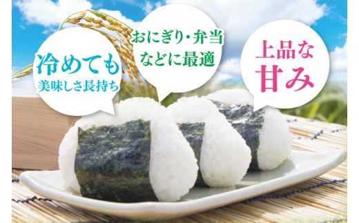 【数量限定】 令和8年産 【3ヶ月定期便】美味追求 茨城県産こしひかり 30ｋｇ（5ｋｇ×6）×3回 【定期便 お米 ごはん こしひかり 精米 おにぎり ごはん 茨城県 水戸市】(NA-11)