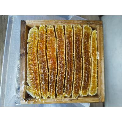 ふるさと納税 藍住町 藍の里　日本ミツバチの純粋はちみつ　(300g) |  | 01