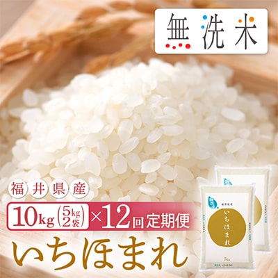 2023年6月発送開始『定期便』≪12か月連続お届け≫無洗米 いちほまれ 10kg 全12回【5086450】