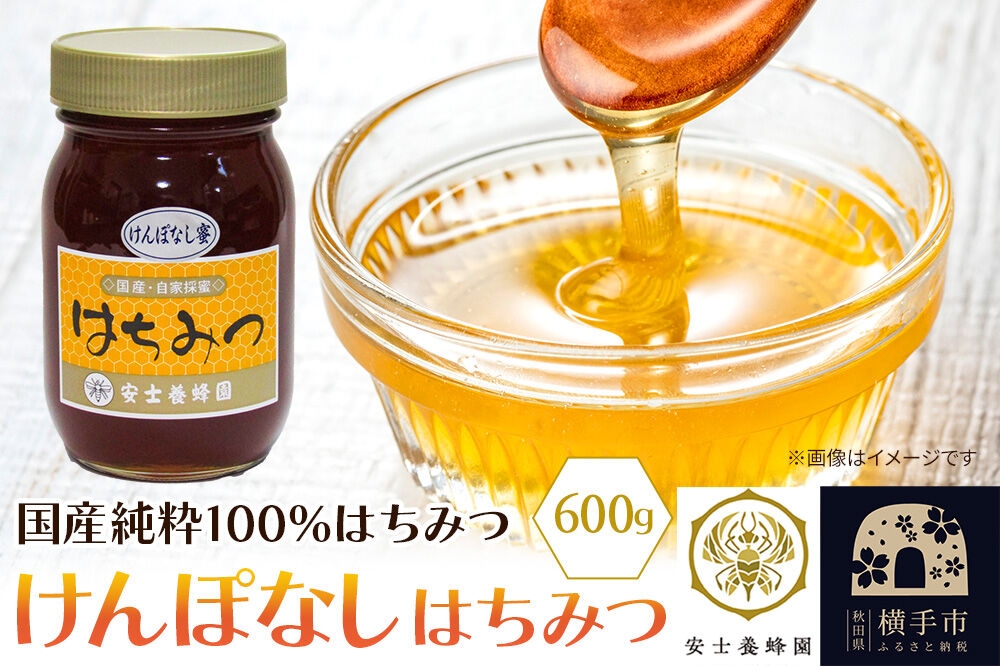 
                  けんぽなしはちみつ 600g [蜂蜜 はちみつ ハチミツ 国産 純粋 天然 無添加 玄圃梨 けんぽなし 化粧箱 贈り物]
                