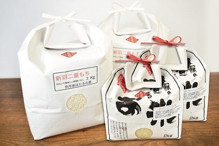 【京丹波のお米】ほたるの里のこしひかり・もち米セット（大） 新米 京都 コシヒカリ 精米 餅米 ※北海道・沖縄・その他離島6は配送不可 [019HS001L]