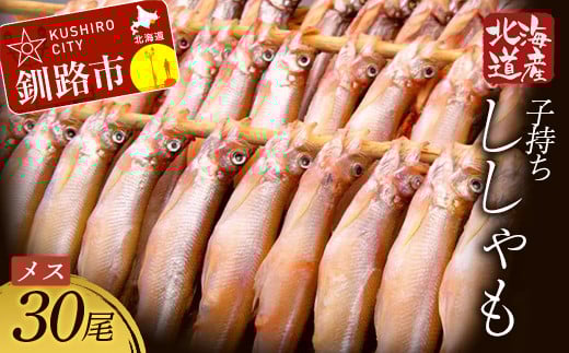 
            北海道産・子持ちししゃも 30尾入 ふるさと納税 魚 F4F-7768
          