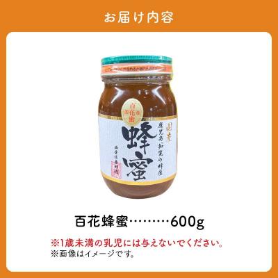 ふるさと納税 南九州市 国産百花蜂蜜600g |  | 03