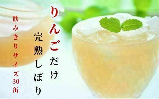 
JAいわて平泉《果汁100％りんごジュース》完熟しぼり 飲みきりサイズ195g×30缶
