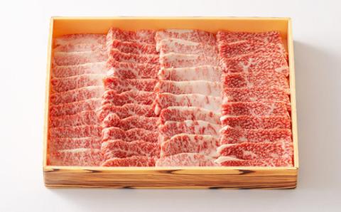 《内閣総理大臣賞受賞》宮崎牛焼肉用(500g) おいしさ日本一の黒毛和牛 [A5ランク A4等級 ブランド牛 国産牛 牛肉 ギフト 贈答 贈り物 プレゼント] TF0556-P00020