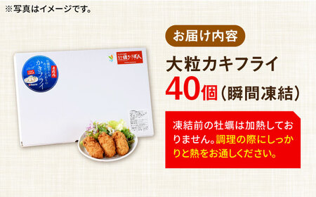 広島G7で提供された牡蠣！【全3回定期便】広島県産 牡蠣屋さんが作ったこだわりの大粒 カキフライ 40個（瞬間冷凍） かき 料理 海産物 瀬戸内 江田島市/マルサ・やながわ水産有限会社[XBL018]