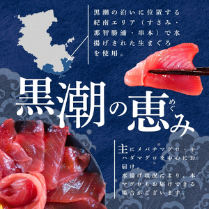 まぐろ 【翌々営業日発送・訳あり】和歌山の天然まぐろ 冷凍 計600g【scp002C】