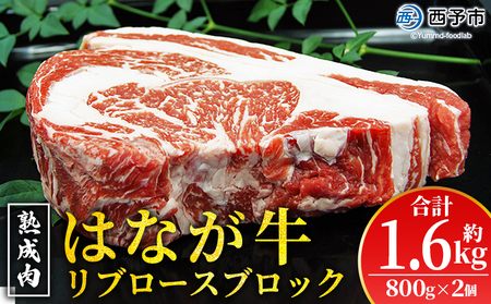 ＜熟成肉 はなが牛リブロースブロック約1.6kg（800g×2個）＞ 牛肉 ステーキ 鉄板焼き 焼き肉 国産 塊肉 かたまり 霜降り しもふり バーベキュー BBQ キャンプ アウトドア 特産品 ゆうぼく 愛媛県 西予市【冷凍】『2か月以内に順次出荷予定』UYB0019