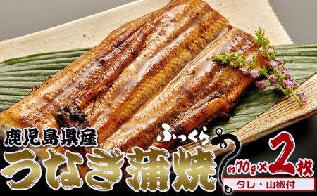 うなぎ 鹿児島県産　うなぎ蒲焼　約70g×2枚【タレ・山椒付】 