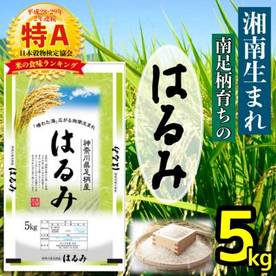 ふるさと納税 南足柄市 【令和7年産】湘南生まれ 南足柄育ちのお米「はるみ」(精米)5kg×1袋