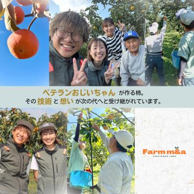 ふるさと納税 大野町 梨のようなサクサク食感! 【太秋柿】 4L×5個 秀品 岐阜県 大野町(2025年10月中旬〜発送) |  | 02