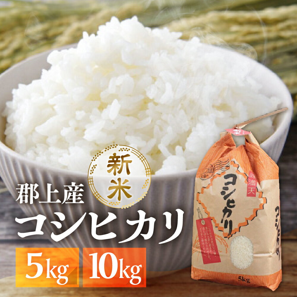 【ふるさと納税】令和7年産 郡上産こしひかり 5kg 10kg 内容量選べる / 食品 米 精米 白米 コシヒカリ お米 コメ こめ 米[G0154]