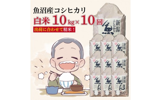 
                  【１０か月定期便】令和８年産新米　魚沼産コシヒカリ 精米10kg×10回　計100kg
                